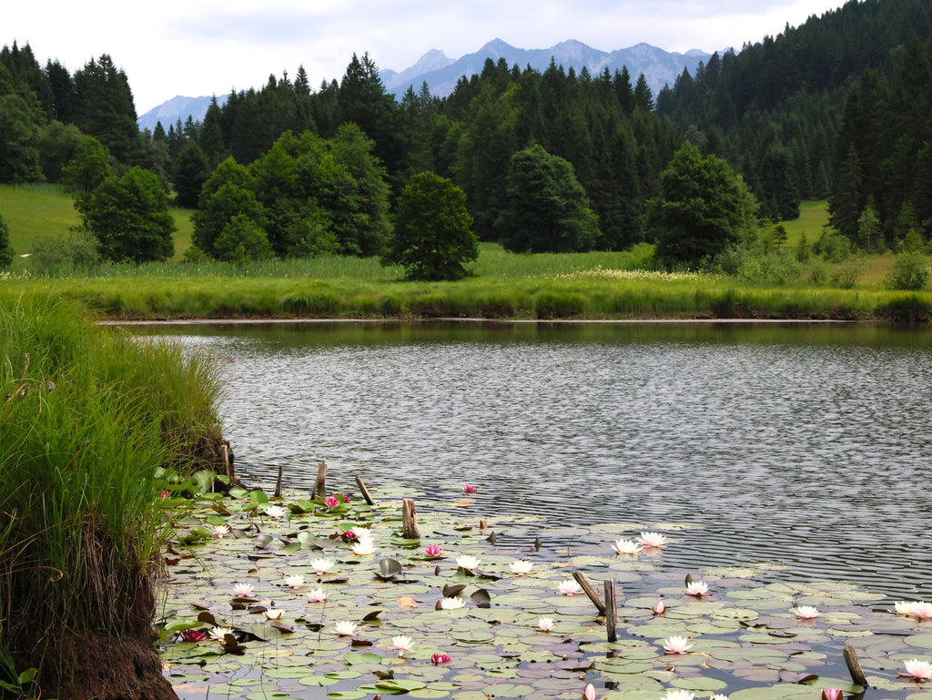 GLPFit WELLNESS Kurse – Für Körper, Geist und innere Balance